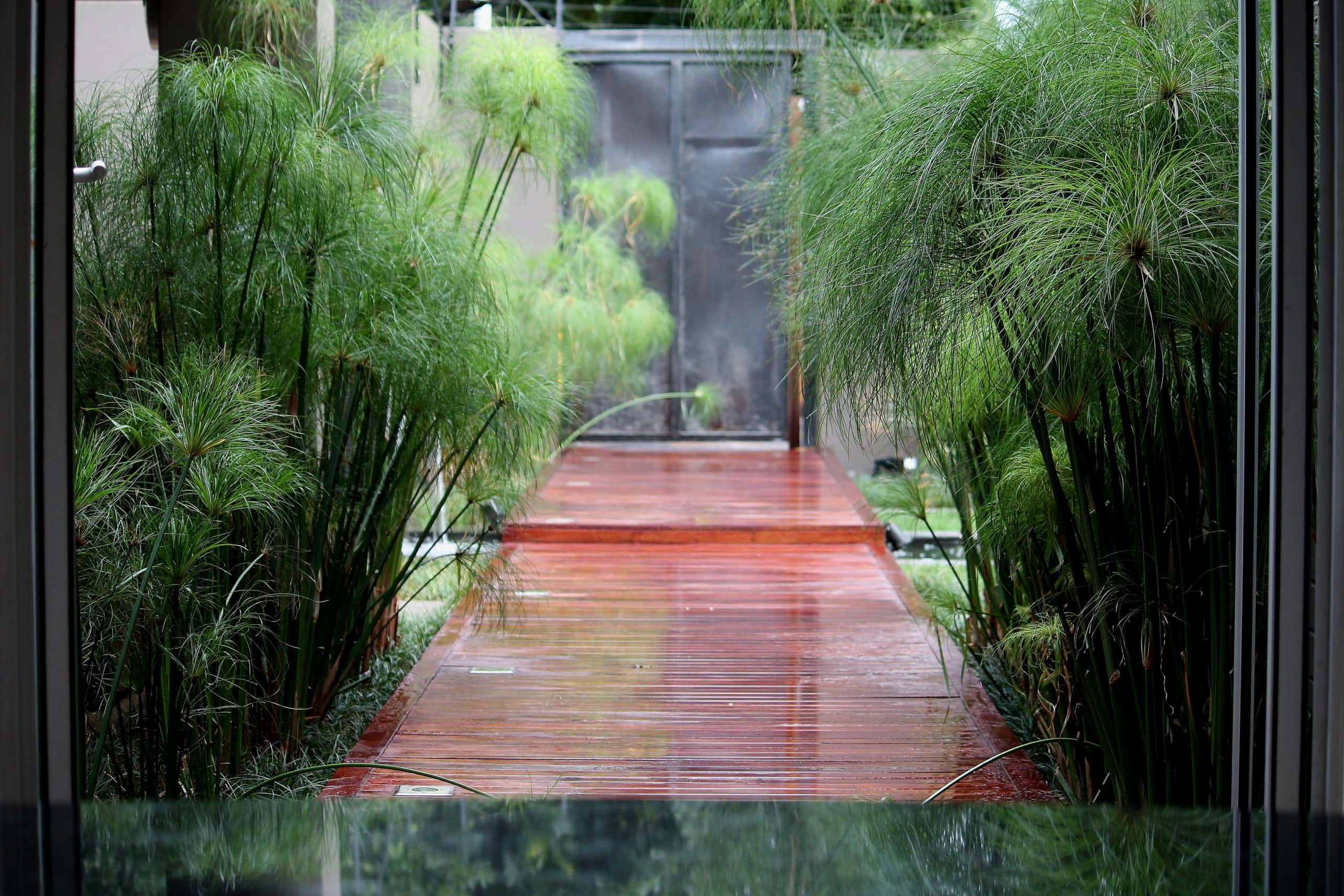 Kingfisher Landscaping Growing Beautiful Spaces.